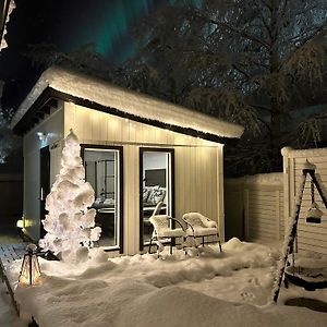 Guest House - Northern Tealight